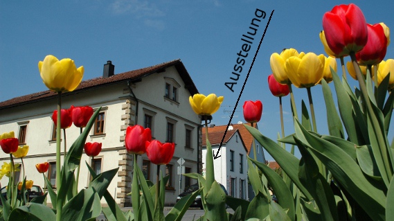 Schreinerei im Frühling